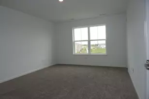 12382 Tinsley St, Huntley, IL 60142 - Photo 14