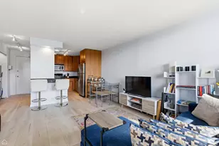 450 W Briar Pl, Chicago, IL 60657 - Photo 4