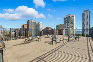450 W Briar Pl, Chicago, IL 60657 - Photo 14