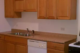 2114 N California Ave, Chicago, IL 60647 - Photo 20