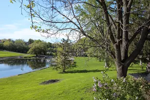 20450 N Meadow Ln, Deer Park, IL 60010 - Photo 12