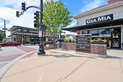 4335 Prospect Avenue, Downers Grove, IL 60515 - Photo 60