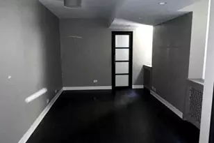 257 E Delaware Pl, Chicago, IL 60611 - Photo 10