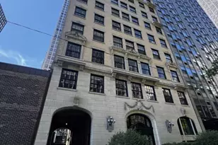 257 E Delaware Pl, Chicago, IL 60611 - Photo 2