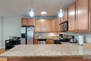 1618 S Halsted St, Chicago, IL 60608 - Photo 8