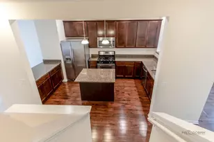 409 Alpine Springs Dr, Vernon Hills, IL 60061 - Photo 20