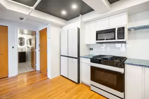 1601 S Michigan Ave, Chicago, IL 60616 - Photo 16