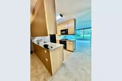 9655 Woods Drive #407, Skokie, IL 60077 - Photo 4