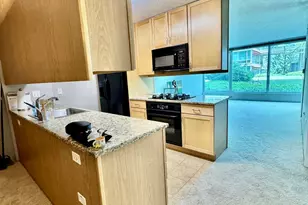 9655 Woods Dr, Skokie, IL 60077 - Photo 4