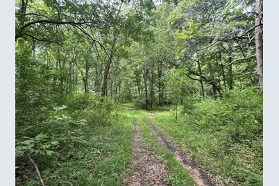 1669 US Highway 45 Highway, Cisne, IL 62823 - Photo 40