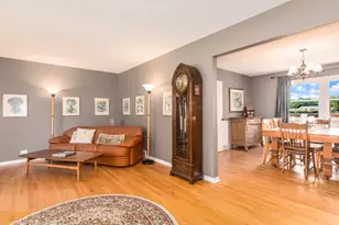 700 S Hamlin Ave, Park Ridge, IL 60068 - Photo 4