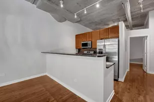 1111 W 14th Pl, Chicago, IL 60608 - Photo 12
