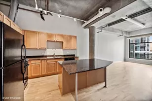 125 E 13th St, Chicago, IL 60605 - Photo 4