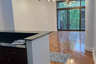 1322 S Prairie Ave, Chicago, IL 60605 - Photo 4