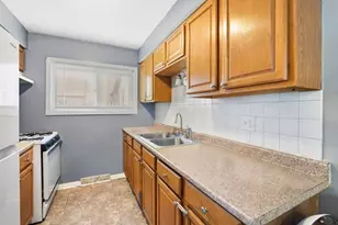1424 W 115th St, Chicago, IL 60643 - Photo 4