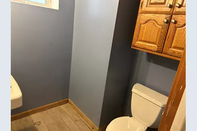 3673 Randolph Street, Lansing, IL 60438 - Photo 20