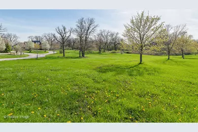 215 Oak Brook Road, Oak Brook, IL 60523 - Photo 1