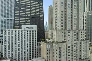 179 E Lake Shore Dr, Chicago, IL 60611 - Photo 36