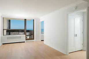 1460 N Sandburg Terrace, Chicago, IL 60610 - Photo 8