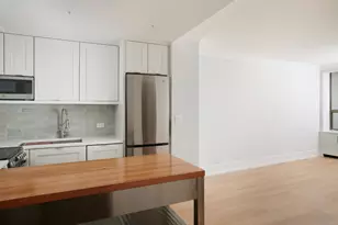1460 N Sandburg Terrace, Chicago, IL 60610 - Photo 14