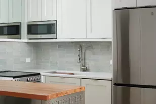 1460 N Sandburg Terrace, Chicago, IL 60610 - Photo 12