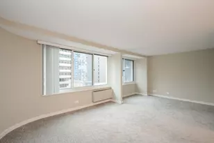 211 E Ohio St, Chicago, IL 60611 - Photo 4