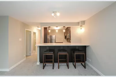 211 E Ohio Street #1406, Chicago, IL 60611 - Photo 8
