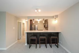 211 E Ohio St, Chicago, IL 60611 - Photo 8