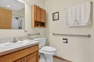 68 Oregon Trail, Coal City, IL 60416 - Photo 26