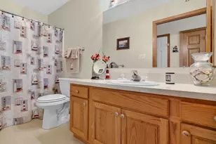 68 Oregon Trail, Coal City, IL 60416 - Photo 28