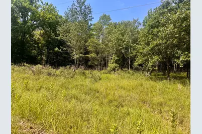 000 Shawnee Drive, Orangeville, IL 62939 - Photo 2