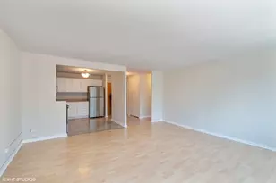 211 E Ohio St, Chicago, IL 60611 - Photo 4