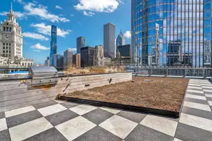 403 N Wabash Ave, Chicago, IL 60611 - Photo 32