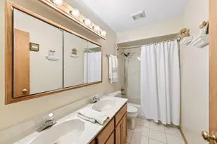 17218 Shetland Dr, Tinley Park, IL 60487 - Photo 28