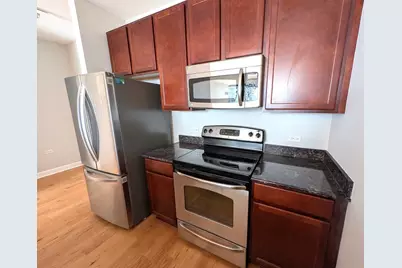 100 E 14th Street #1508, Chicago, IL 60605 - Photo 8