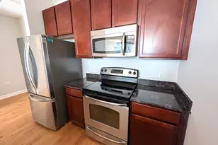 100 E 14th St, Chicago, IL 60605 - Photo 8