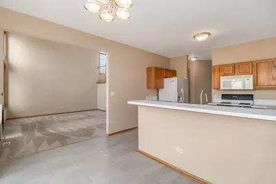 3241 Lightning Court, New Lenox, IL 60451 - Photo 8