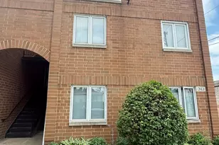 343 W 24th St, Chicago, IL 60616 - Photo 1
