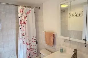 343 W 24th St, Chicago, IL 60616 - Photo 10