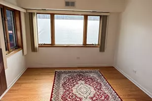 343 W 24th St, Chicago, IL 60616 - Photo 4