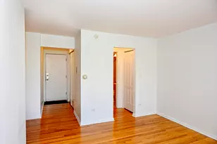 1415 W Lunt Ave, Chicago, IL 60626 - Photo 4