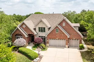 21359 Saddle Ln, Mokena, IL 60448 - Photo 2