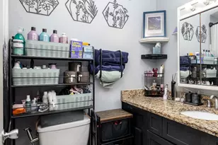 3001 S Michigan Ave, Chicago, IL 60616 - Photo 8