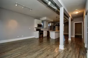 2007 S Allport St, Chicago, IL 60608 - Photo 2