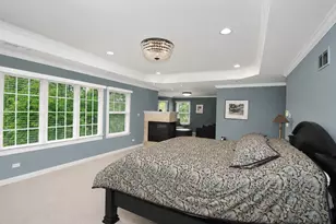 1248 Lake Shore Dr, Lisle, IL 60532 - Photo 20