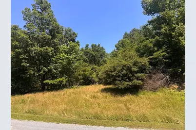 Lot 273 & 274 Rocky Point Road, Orangeville, IL 62939 - Photo 2