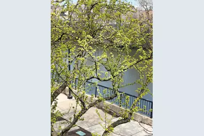 2917 N Claremont Avenue, Chicago, IL 60618 - Photo 2