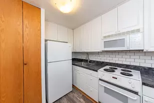 1455 N Sandburg Terrace, Chicago, IL 60610 - Photo 8