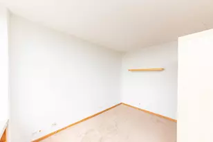 1455 N Sandburg Terrace, Chicago, IL 60610 - Photo 4