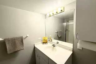 113 Chatsworth Cir, Schaumburg, IL 60194 - Photo 24